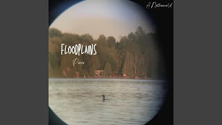 Video voorbeeld van "Piner - Floodplains"