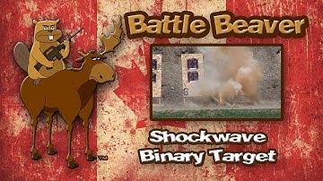 Shockwave brand Binary Target demonstration - June 2nd, 2014
