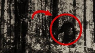 Terrifying Bigfoot Sightings Turn Deadly in Oregon Forests | Bigfoot Sightings 2025