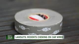 Beware of rodents chewing your car's wires