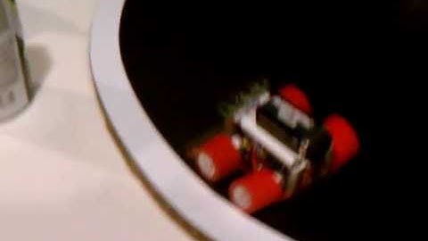 Translator (Sumo Bot) - First Build