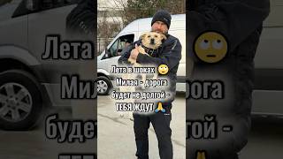 Нижний Новгород, Москва  - встречайте кусочки южного солнца ❤️‍🔥