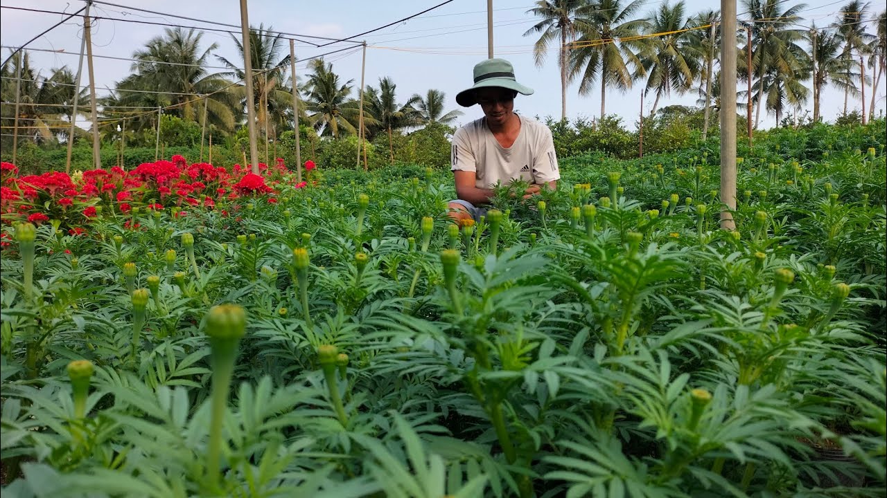 lãi chèo  Thọ một cây...  thọ bán ngày 23. chân dung người đứng sau những video của tôi 😁😁😁😁