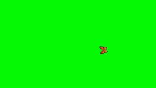 Latest technology butterfly effect motion background | real butterfly flying background