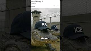 Trump to Head to Florida for &#39;Alligator Alcatraz&#39; Opening: Leavitt