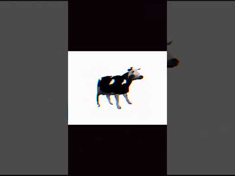 اكثر أغنيه مستفزه بس حبيتها