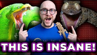 I Bought A REAL ALIEN and A Snake I Can't Afford! REPTILE EXPO'S FAULT!