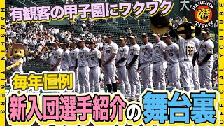 【ご挨拶】毎年恒例『新入団選手紹介』が行われました！ドラ１#森下翔太 選手は雄叫びをあげて登場！？甲子園の観衆を前に緊張する初々しい若虎や外国人選手の表情もお楽しみください！