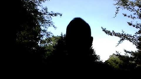 Algorithm Universe Theory-Why its not just another pretty simulation theory