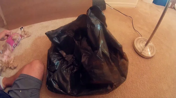 BIG HAUL FOOD ! Dumpster Diving Corporate Stores