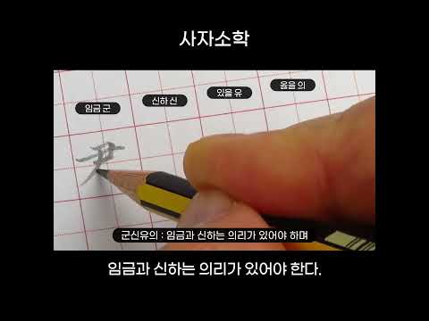   한자쓰기 사자소학 부자유친 군신유의 Shorts