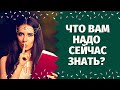 СОВЕТ ВЫСШИХ СИЛ! ЧТО ВАМ НАДО ЗНАТЬ ПРЯМО СЕЙЧАС? ЭТО ПОМОЖЕТ ВАМ! ЧТО ГОТОВИТ ВАМ СУДЬБА?