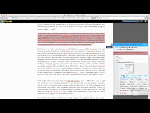 Pundit in action - Screencast