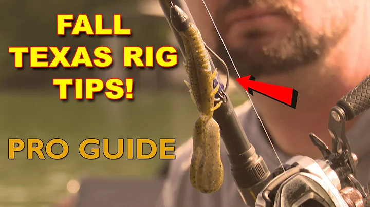 Fall Bass Fishing Tips: How to Catch More Fish with a Texas Rig  | Bass Fishing