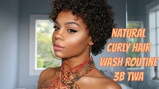 Natural Curly Hair Wash Routine | 3B TWA