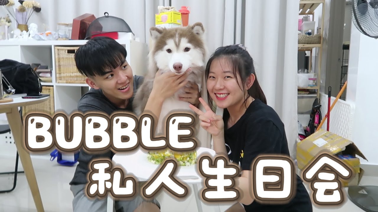 首次帮狗狗过生日和见到香米的狗狗 ！