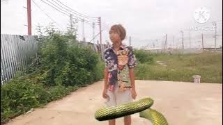 snake green screen naagin @ក្រុមឧត្តមានជ័យ