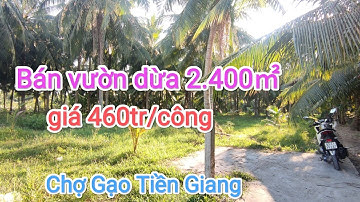 Tập 110♥Bán vườn dừa 2400㎡ giá 460tr/công, Chợ Gạo Tiền Giang @NHADATTTANTIENGIANG