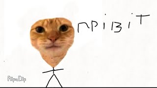 1 серія Mr cat