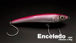 All Models Swiming Action