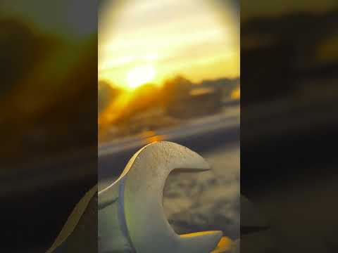 Good Morning Status Full HD Status Video #shorts #shorts #shortsfeed #youtubeshorts