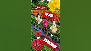 🧧Còn 64 Ngày Nửa Là Tết 🧧  Bính Ngọ 2026 #tet2026 #angiang #nhactet #tanchauangiangtv