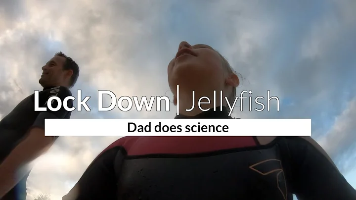 Dad Does Science - Immortal Jellyfish