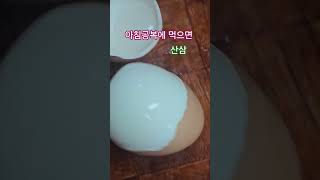 #삶은달걀 #견과류 #그릭요거트 #건강 #음식 #채소 #힐링