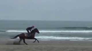 20150528 1