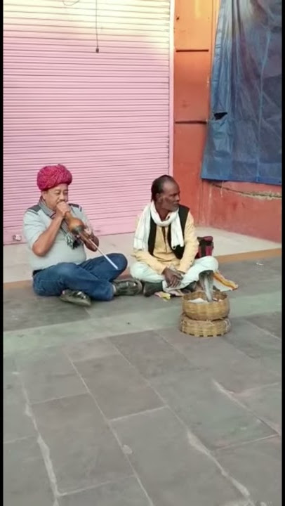 Seruling Cobra...