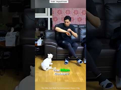 Why This Cat Attacked Only One Person? #shortvideo