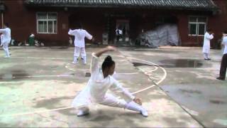 Wudang Ji Ben Quan 1 Wudang Ji Ben Quan 1