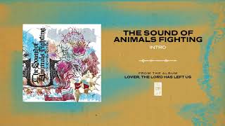 The Sound Of Animals Fighting &quot;Intro&quot;