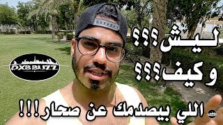 للي ما يعرف حقيقة ولاية صحار (سلطنة عمان) - شاهد للنهاية 