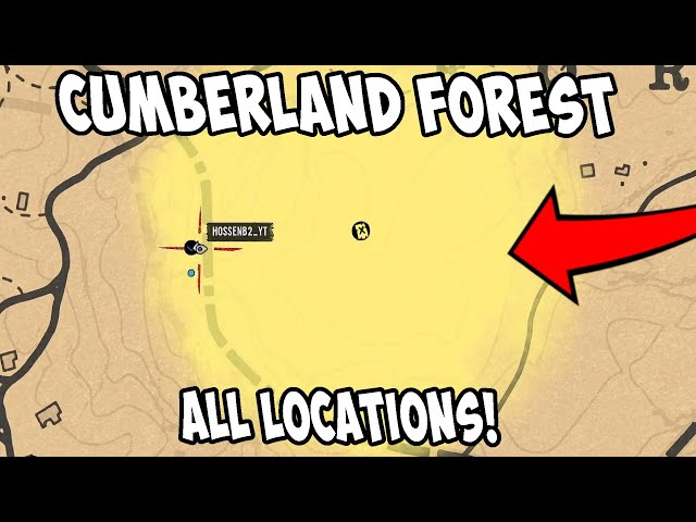 Red Dead Online Tesoro Oeste de Cumberland Forest /Cumberland Forest West  Treasure Map Location 