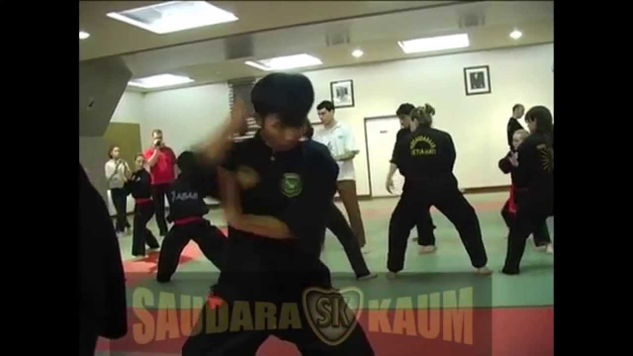 Stage Cecep Part 1 Paris 2008