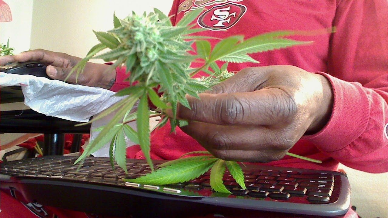 Happy 420  Live Stream from Trim Jail