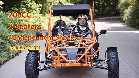 2021 New Adult Go Kart on 200cc with 2 Seaters from China Facotry