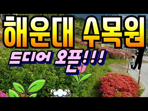 [부산여행]부산 해운대🌷수목원🌲