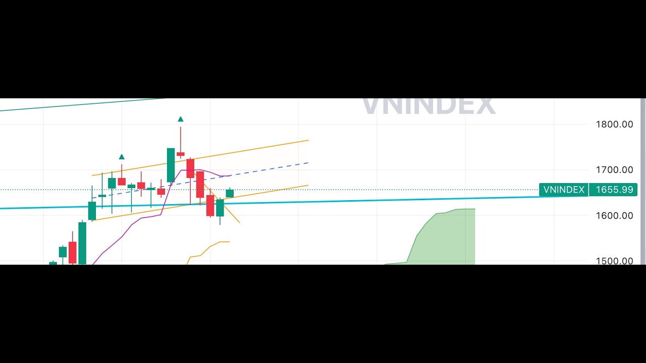 Chu kỳ thị trường ngày 20.11.2025 | Đáo hạn êm đềm - Nền giá hỗ trợ/cản của các cổ phiếu