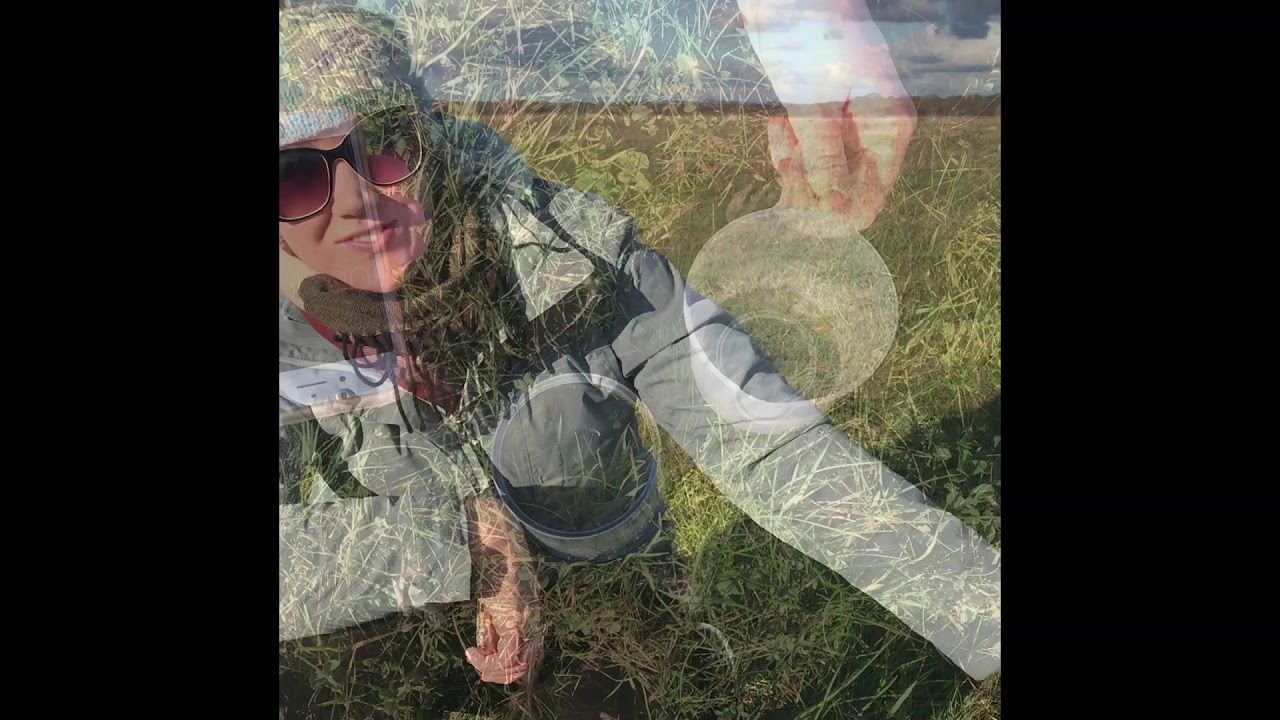 Infiltration Fieldwork