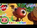 النملة والجراد كوكو ميلون بالعربي برامج كرتون و أغاني للأطفال  