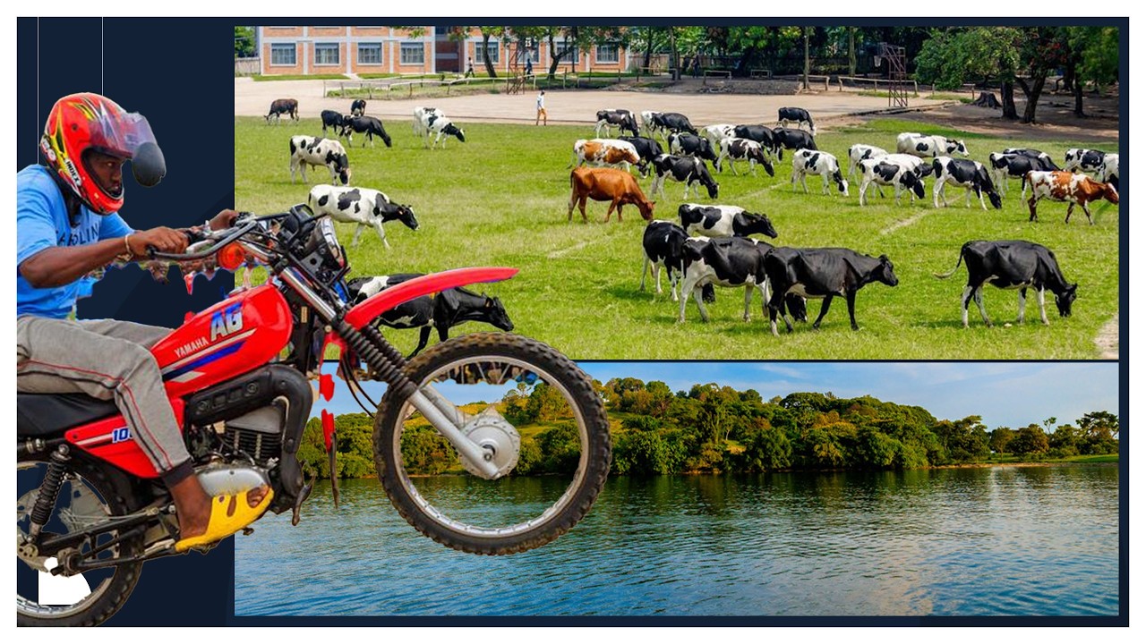 Ibyo wamenya ku kirwa cya Iwawa|| Twagisuye|| Ubuzima bw’abariyo