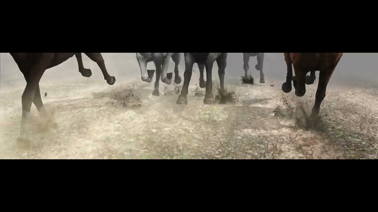 Horses running YouTube