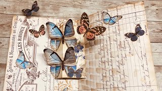 Butterfly tag pop up