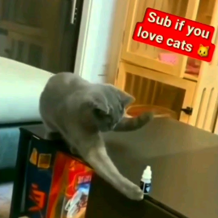 Prezervativsiz jinsiy aloqa va sistit Katta jinsiy olatni kattaligi va jinsi