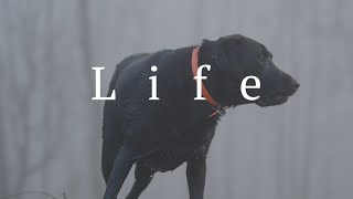 Life | Charles-Antoine Lesage