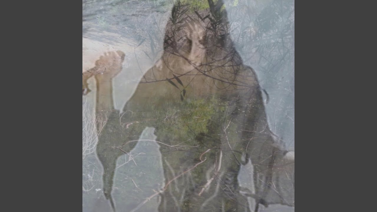 Lamento auf YouTube ansehen Lamento auf YouTube ansehen