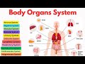 Organ Systems | Roles &amp; Functions | Human Body | Overview of Body Systems