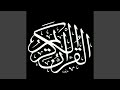 سورة الطارق 